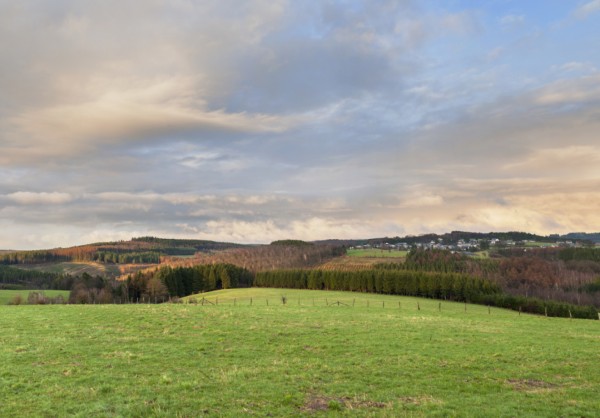 Vendre une maison, un terrain ou un appartement à Gedinne.