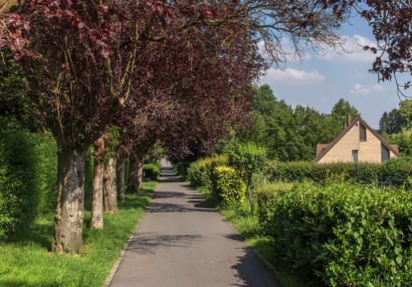 Vendre maison, terrain ou appartement à Mont-Saint-Guibert