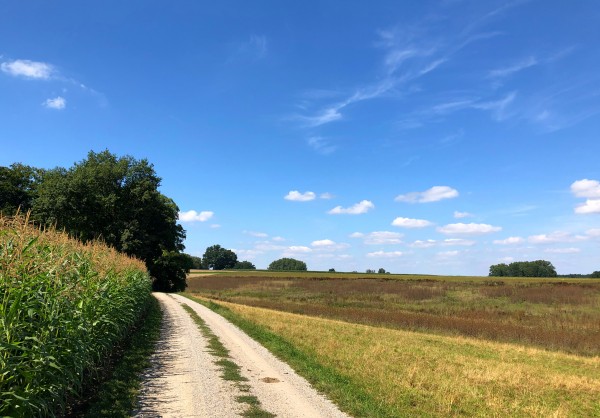 Vendre une maison, un terrain, un appartement à Ramillies