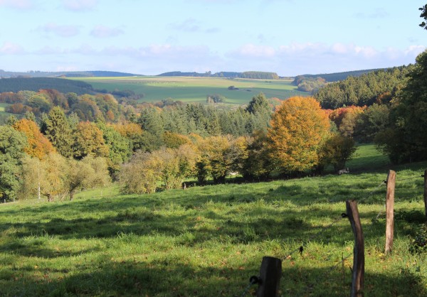 Vendre une maison, un terrain ou un appartement à Tenneville