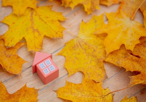 Vendre son bien en automne : comment préparer ses extérieurs ?