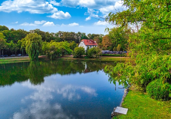 Vendre une maison ou un appartement à Watermael-Boitsfort