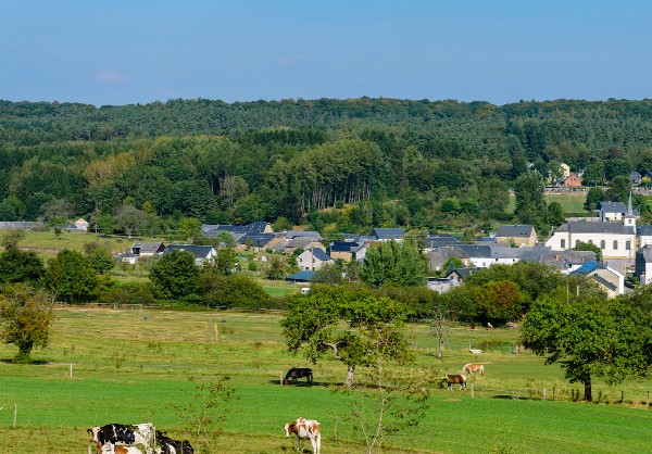 Vendre une maison, un terrain, un appartement à Wellin